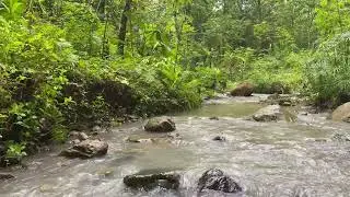 River Sounds for Deep Sleep - Gentle Flowing Water to Calm Mind & Improve Sleep Quality - Soothing
