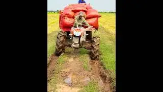 Mini tractor transport rice seeds | Agriculture and farming (705) #shorts