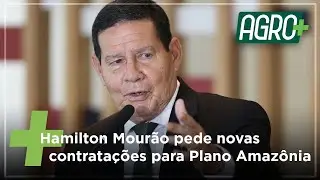 Vice-Presidente Hamilton Mour&atilde;o pede novas contrata&ccedil;&otilde;es para Plano Amaz&ocirc;nia | AgroMais