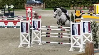Trine Hjorth and Carrick 2nd place in CSI** 135cm