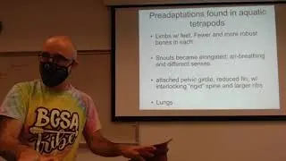 Amphibians lecture