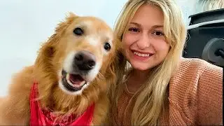 Этот 17-летний пёс до сих пор каждый день растапливает сердце своей мамы
