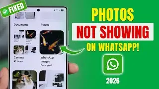 Fix WhatsApp Photos Not Showing In Android Gallery! -100% Working