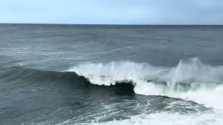 28.03.2026 Sydney Surf Report Deadman’s Fairy Bower Australia