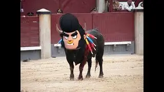Bull. exe