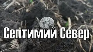 Септимий Север. В поисках золота UA!