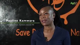 Apiculture Ventures: Saving nature one beehive at a time
