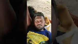 dasara #trending #vlog #shorts