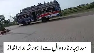 Shakargarh bus . ( Chak amru sada bahar )