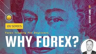 Forex Trading 101: Why Forex