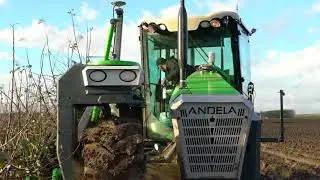Andela Techniek & Innovatie Multifunctionele bomenrooier/onderstammenzaag