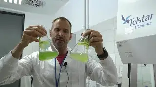 Jazda na glonach &ndash; czyli o zielonych mini-fabrykach biopaliwa