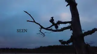 Nils Ursin : Nothing.feat. Teemu Liekkala (Progressive Rock/Metal 2024)