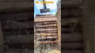 Professional Shipping