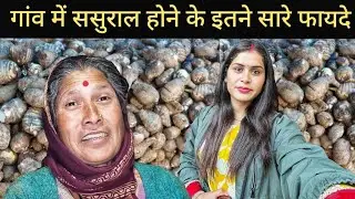 सासू माँ के साथ गई आज अरबी निकालने || Pahadi Village Lifestyle Vlog 