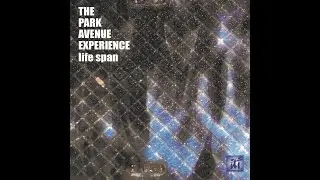 THE PARK AVENUE EXPERIENCE - 