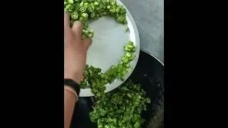 Delicious Ladies finger fry