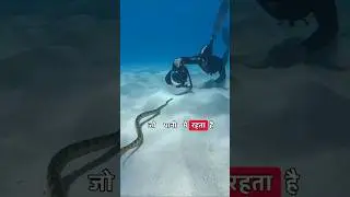 दुनिया का सबसे जहरीला सांप। Dangerous snakes। Snake shorts । #science #facts #interestingfacts