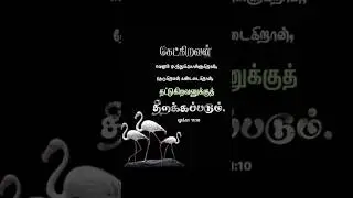 Today Bible Verse in Tamil 11.1.26 |Daily Bible Verse |Tamil Bible Verse|DailyBibleQuotes03