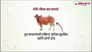 Anti kick bar 9022628286
