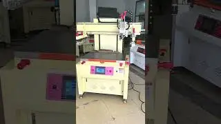 vertical screen printer with PLC control , accept OEM customize