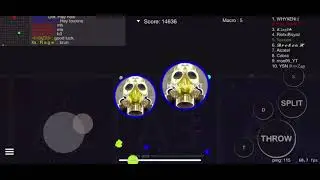 Blob.io | 199% SOLO🙃💪🔥 GIMME IT ALL
