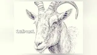 IMBUZI (Goat) featuring @LilxSavage-p2b &times; @Ash-Ohkraps &times; @HelsZon3 (OFFICIAL AUDIO) PROD. Khasenova 