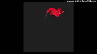 Ben Preisinger -The_Quiet_Wanderer (Pablo Bolivar & Patlac Rework)