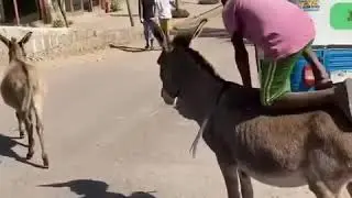 Akon chilling out in Addis-Ababa, Ethiopia - Africa 2020