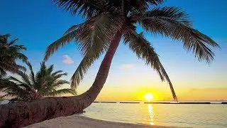 AMBIENT RELAX CHILL OUT MUSIC