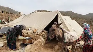 Daily life of nomads in Iran (2023)