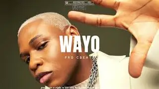Boy Spyce - WAYO (Official Afrobeat Type Beat Instrumental)