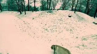 First snow Fall Of 2025
