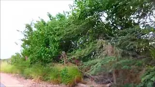 PR 301 en Cabo Rojo