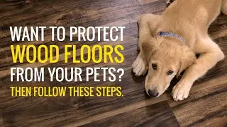 Simple Tips for How to Protect Wood Floors From Pets