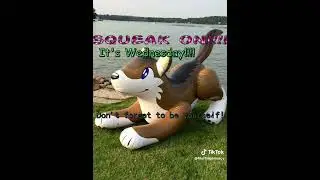 Loud Inflatable Puffypaws Wolf Sit Pop In Japan Again Wakko From (Canfurence/Eurofurence)