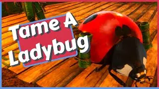 How To Tame A Ladybug in Smalland
