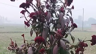 Ramita रमिता के ब्लॉग में सभी का स्वागत है 🙏🙏🙏