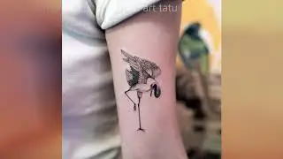Значение татуировки аист
