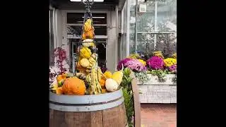 Royal botanical garden (RBG )- Burlington ON# Halloween deco 👹