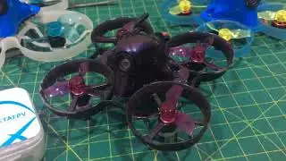 Test motor betafpv brushed 716 19.000kv tr&ecirc;n alienwhoop zero