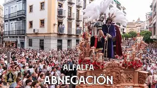 Vida + La Música del Pueblo | Abnegación Alfalfa 2023 | Virgen de los Reyes