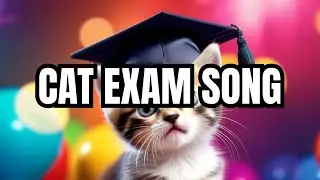 Kitty Cat Exam Fail Song | CoComelon Nursery Rhymes & Kids Songs