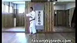 AN ICHI MIYAGI - GEKITSAI DAI N - FALCONE'S SYSTEM INTERNATI