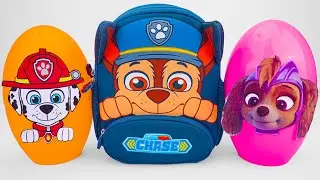 ASMR Unboxing Paw Patrol Surprise Toys ✨ Marshall, Chase, Skye 🚨 Satisfying No Talking Unboxing