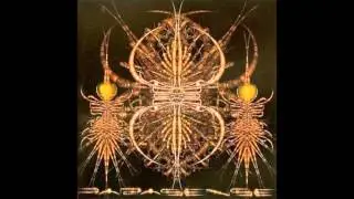 Parasense - VIP Level