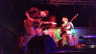 Whalebone FM Live at O&rsquo;Reilly&rsquo;s Irish Pub in San Francisco on October 19, 2024 (phone audio)
