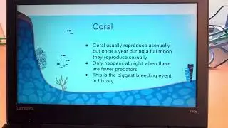 how the moon effects marine animals behavior and reproductive