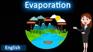 Evaporation || 3D animated explanation || class 9th || Matter in our surrounding ||