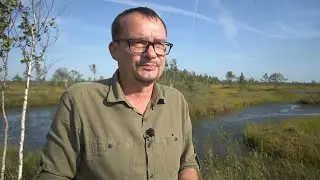 Путешествие по самому большому болоту Беларуси: уникальная Ельня